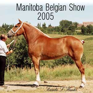 Roselea Beckie - Senior Champion and Grand Champion Mare