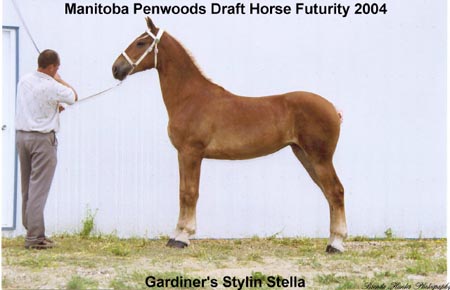 Gardiner's Stylin Stella